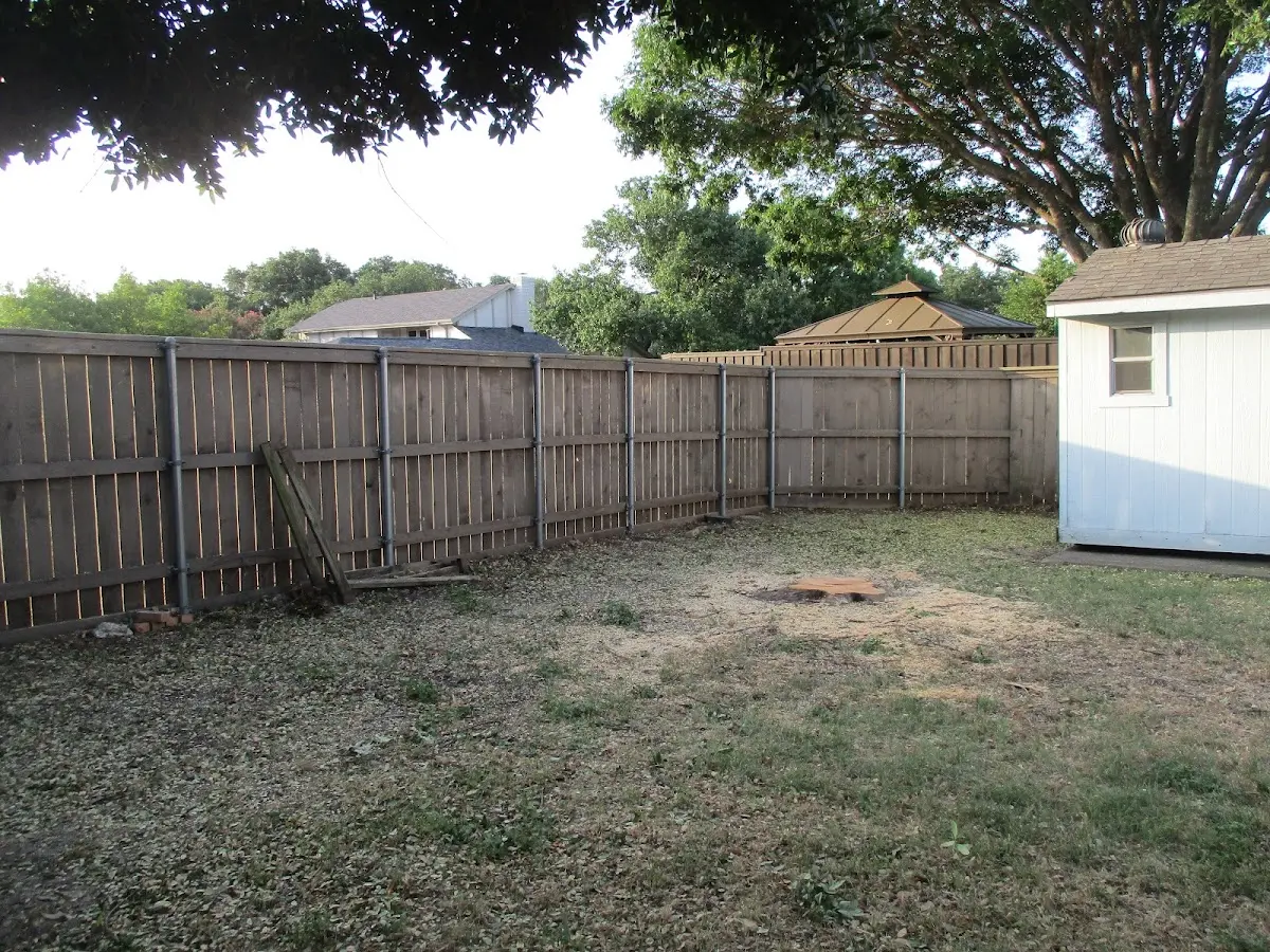 Cleared yard after professional tree removal in South Padre Island